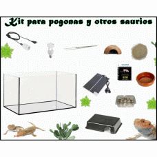 Kit para pogonas / Otros Saurios (Varios tamaños)
